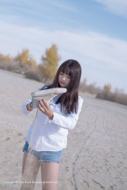 秦岭神树