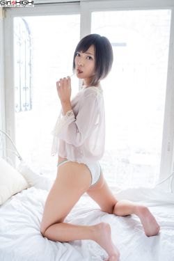 老九门在线观看全集免费观看